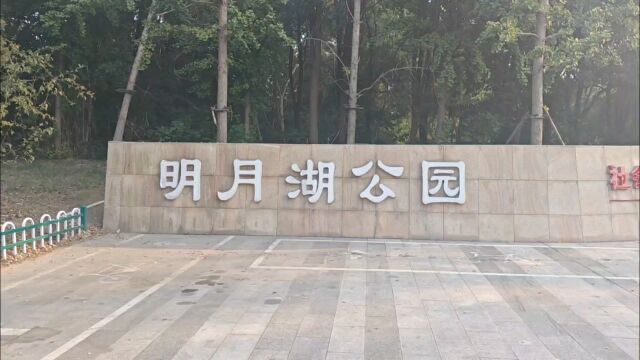 扬州市中心的公园,湖景有点欠缺