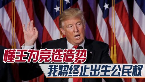 特朗普昔日下属纷纷宣布参选,懂王为竞选造势:将终止出生公民权_高清1080P在线观看平台_腾讯视频
