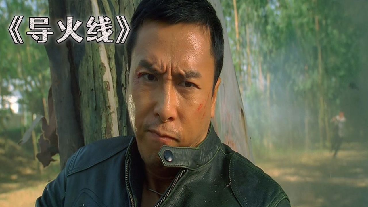 导火线:邹兆龙吊打甄子丹,甄子丹爆锤释延能,剧组演员频频受伤