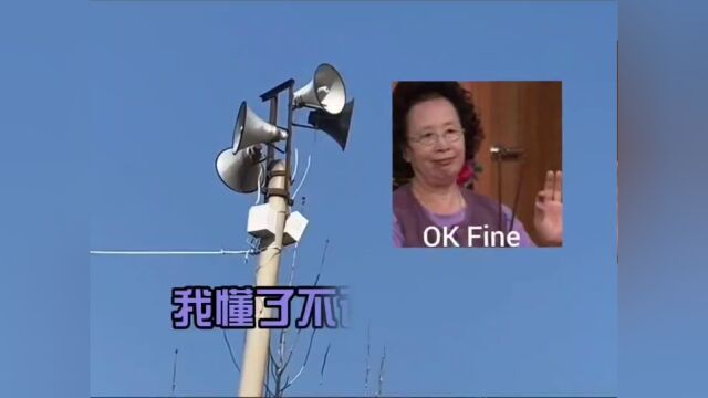 村长的爱情故事