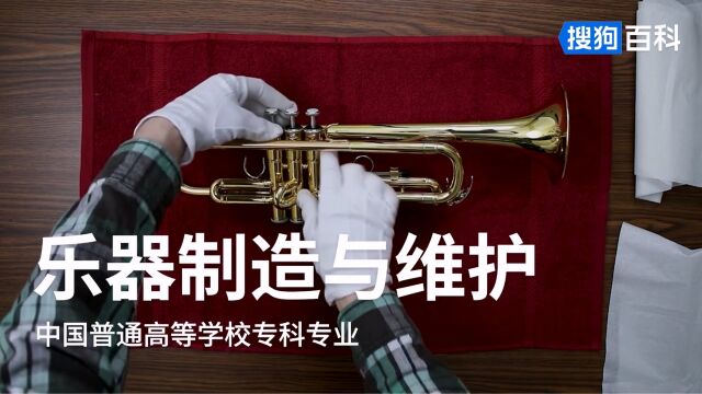 乐器制造与维护:轻化工类专业