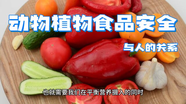 动物植物食品安全与人的关系