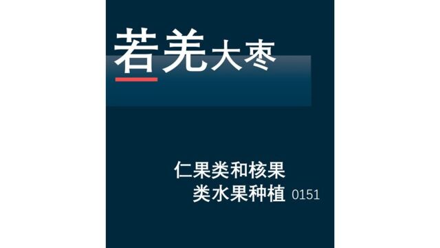 仁果类和核果类水果种植