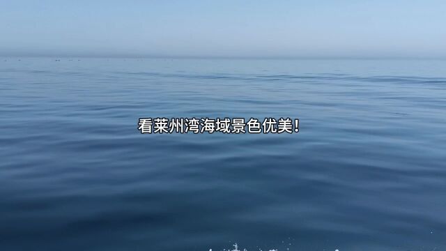 看莱州湾海域景色一览、