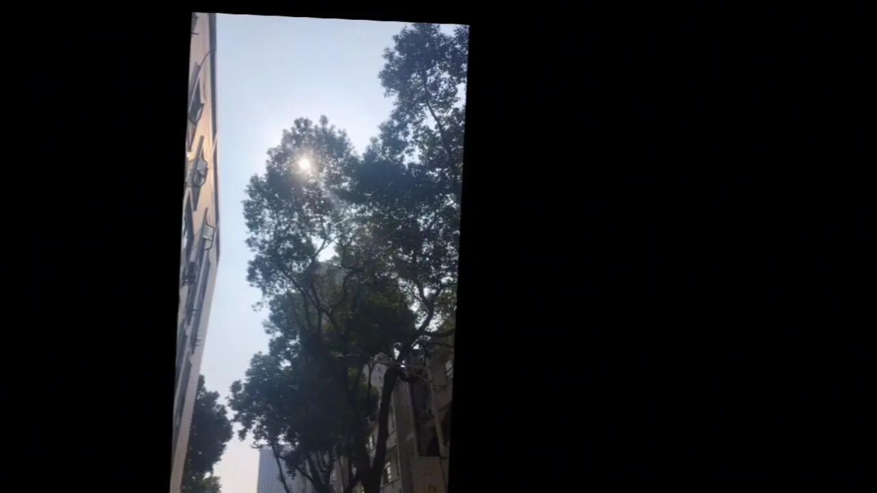 2304111班校园霸凌_腾讯视频