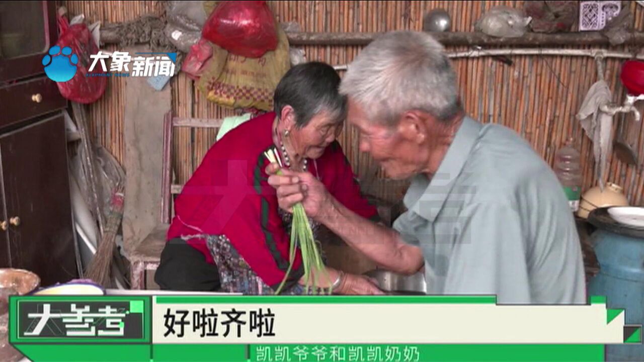 河南商丘:"我的豆哎"!全网大火的"凯凯奶奶",真是驾驭男人的高手!