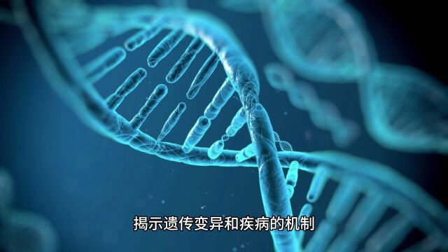 神奇的DNA:生命的密码