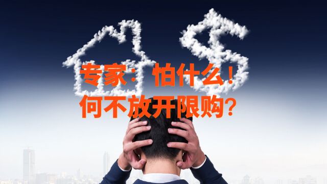 专家:何不放开限购?