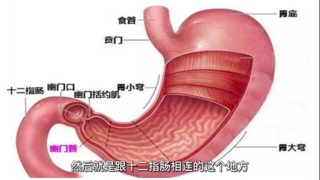 新手妈妈看过来!月子期间宝宝突发大口呕吐,发病部位竟在这里