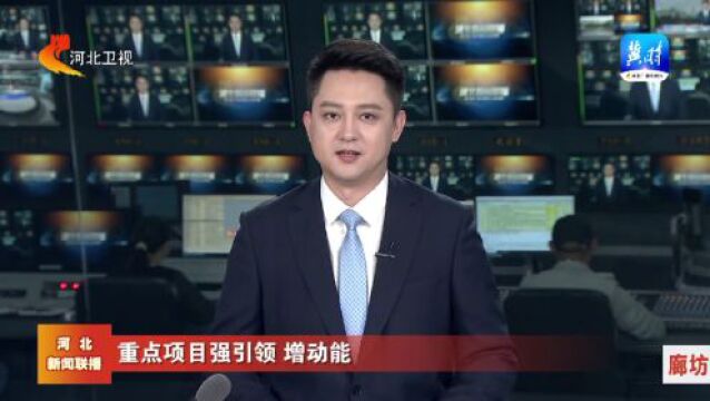 【重点项目强引领 增动能】廊坊:津兴城际铁路全线主体完工 “轨道上的京津冀”持续提速