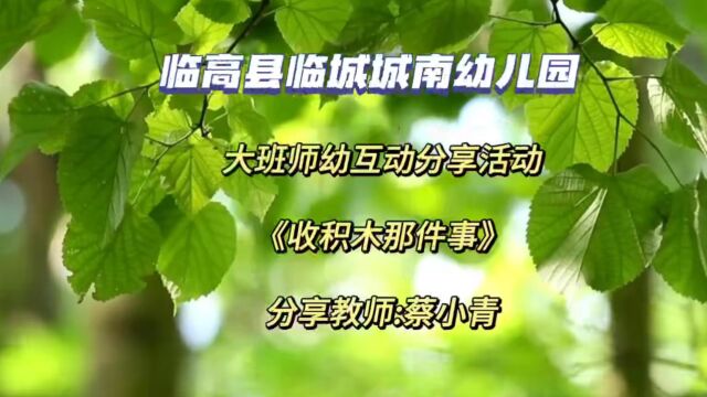 临高县临城城南幼儿园蔡小青大班师幼互动分享活动:收积木那件事