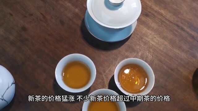 普洱茶越陈越香被市场“打脸”,别在盲目存茶啦!