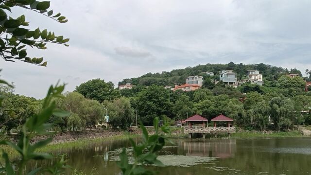 这一橦橦依山而建的漂亮别墅,湖中莲荷,小船和野鸭,风景如画,这可是当地农民自建的南山湖风景区