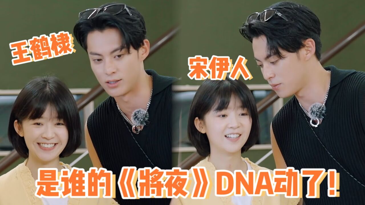 王鹤棣邀请宋伊人来桃花坞,谁的《将夜》dna动了!