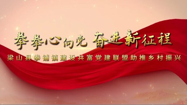 梁山县拳铺镇建设共富党建联盟助推乡村振兴