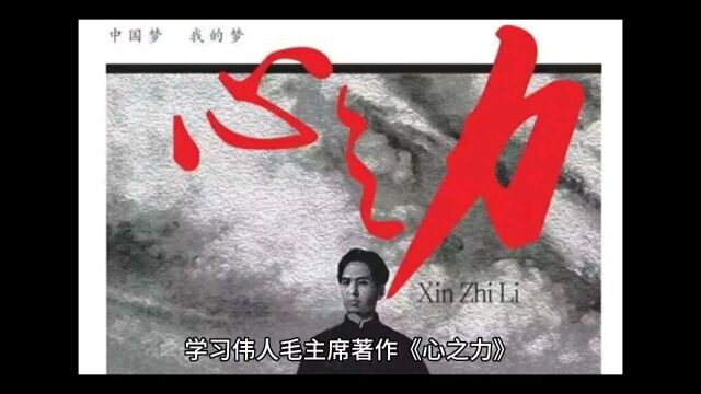 欣赏毛主席经典力作——《心之力》