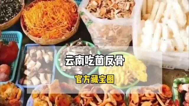 云南人吃菌的饮食文化有多奇葩#看一遍笑一遍 #这操作都看傻了 #万恶之源 #视频来源于网络 #云南吃菌