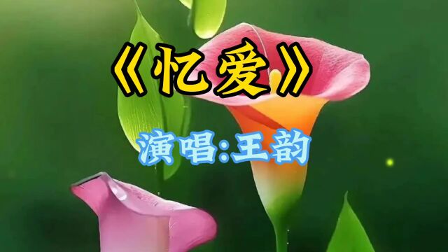 《忆爱》演唱:王韵