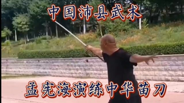 中国沛县武术:孟宪海演练中华苗刀配音乐佚名演唱《大号叫中华》