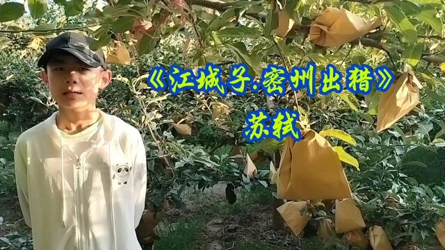 品国学经典(102)《江城子.密州出猎》苏轼