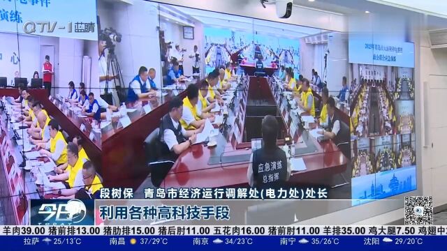 青岛市举办大面积停电事件政企联合应急演练