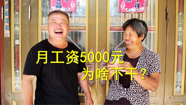 小房子面试5家公司,月工资都是5000元,小房子为啥不干?