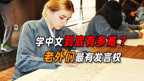全世界都在说中国话，中文到底有多难学？让老外哭晕在厕所？_高清1080P在线观看平台_腾讯视频