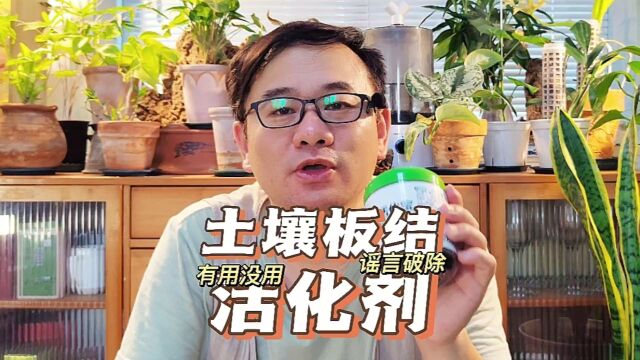 盆土板结浇黑水,土壤活化剂真那么牛?