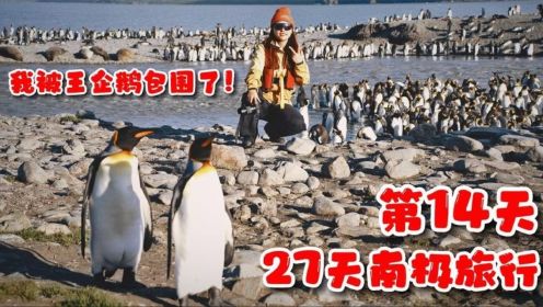27天南极旅行第14天，抵达南乔治亚岛，被数万只王企鹅包围了！