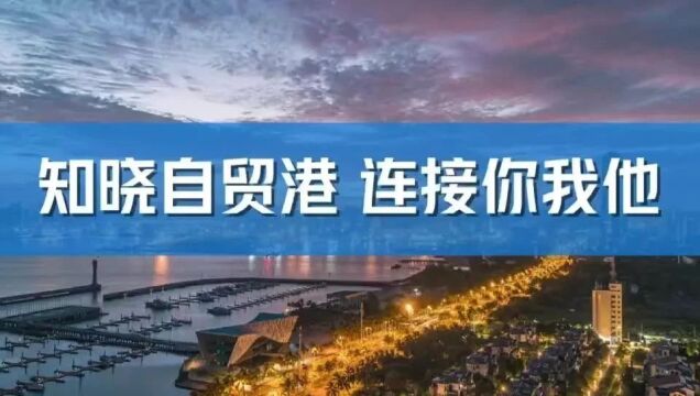 海南自由贸易港一站式政策查询解读平台今日上线!