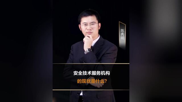 安全技术服务机构的现状是什么?