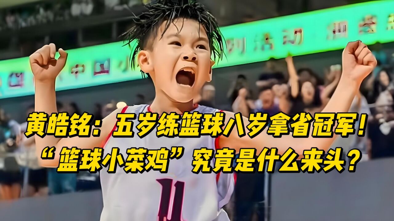 黄浩铭：五岁练篮球八岁拿省冠军！“篮球小菜鸡”究竟是什么来头_高清1080P在线观看平台_腾讯视频