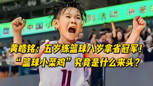 黄浩铭:五岁练篮球八岁拿省冠军!“篮球小菜鸡”究竟是什么来头