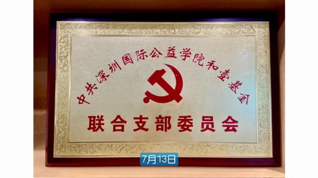 中共深圳国际公益学院和壹基金联合支部委员会荣获“深圳市社会组织先进基层党组织”称号