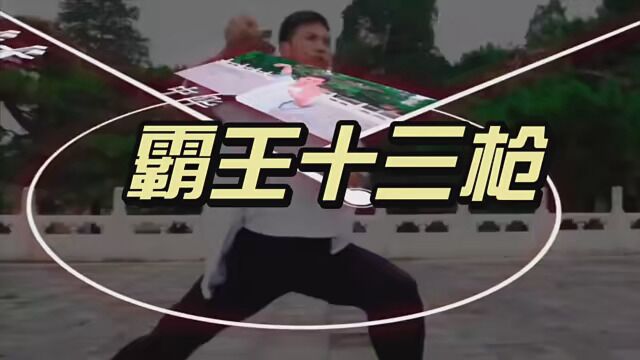 霸王枪代表勇气 霸王枪是勇气,勇者无畏. #蓝银霸王枪 #夺命十三枪 #功夫