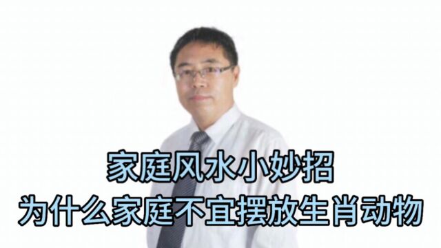 家庭风水小妙招:为什么家庭不宜摆放生肖动物?