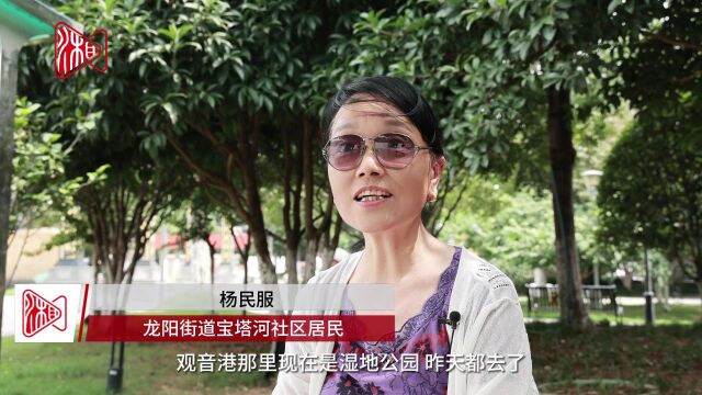 扮靓一座城 幸福一城人——汉寿县靓城提质做实民生“里子”