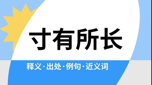 “寸有所长”是什么意思?