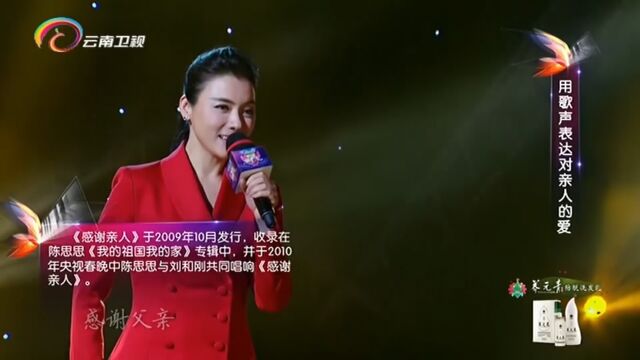 陈思思演唱《感恩亲人》,经典歌曲,震撼全场