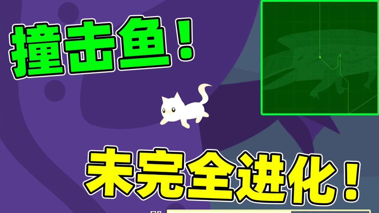未进化完成!小猫钓鱼