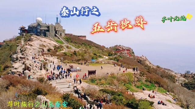 泰山行之二,五岳独尊!芋叶在旅行之山东泰安.实地拍摄.