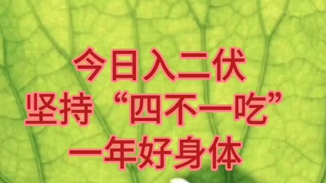 今日入二伏,坚持四不一吃,一年好身体