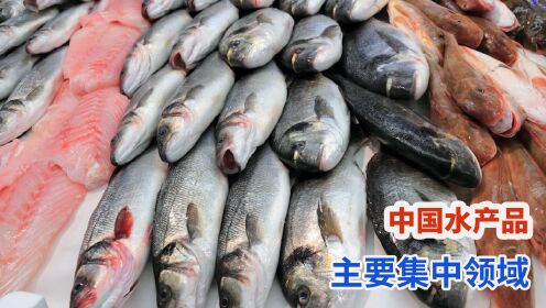中国水产品出口主要领域，鱼贝来料加工出口多项全能