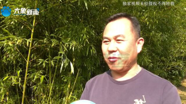 河南郑州:父亲已离世,儿子办社保时被资料绊住脚?“因为这个死亡证明的事,实在没办法了”