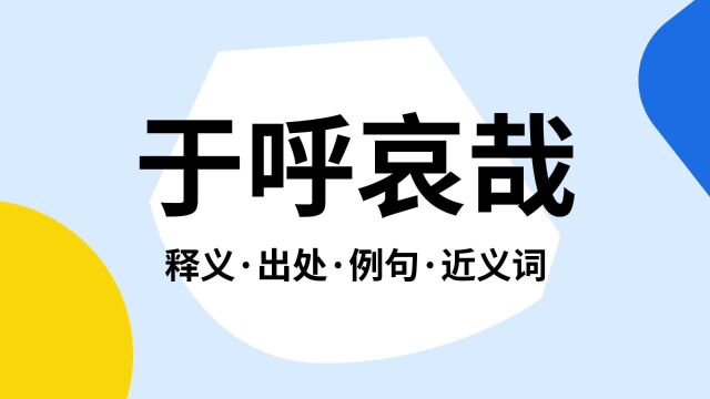 “于呼哀哉”是什么意思?