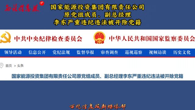 国家能源投资集团有限责任公司原党组成员、副总经理李东严重违纪违法被开除党籍