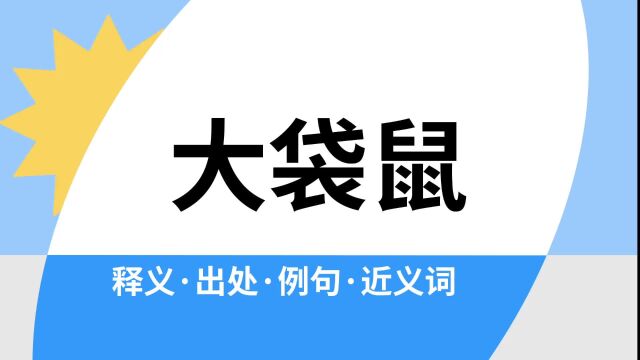 “大袋鼠”是什么意思?