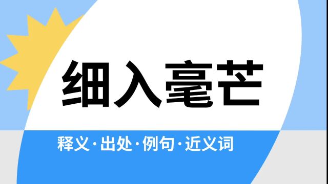 “细入毫芒”是什么意思?