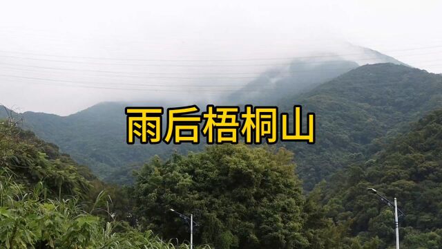 雨后的深圳梧桐山风光