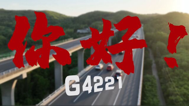 你好!G4221